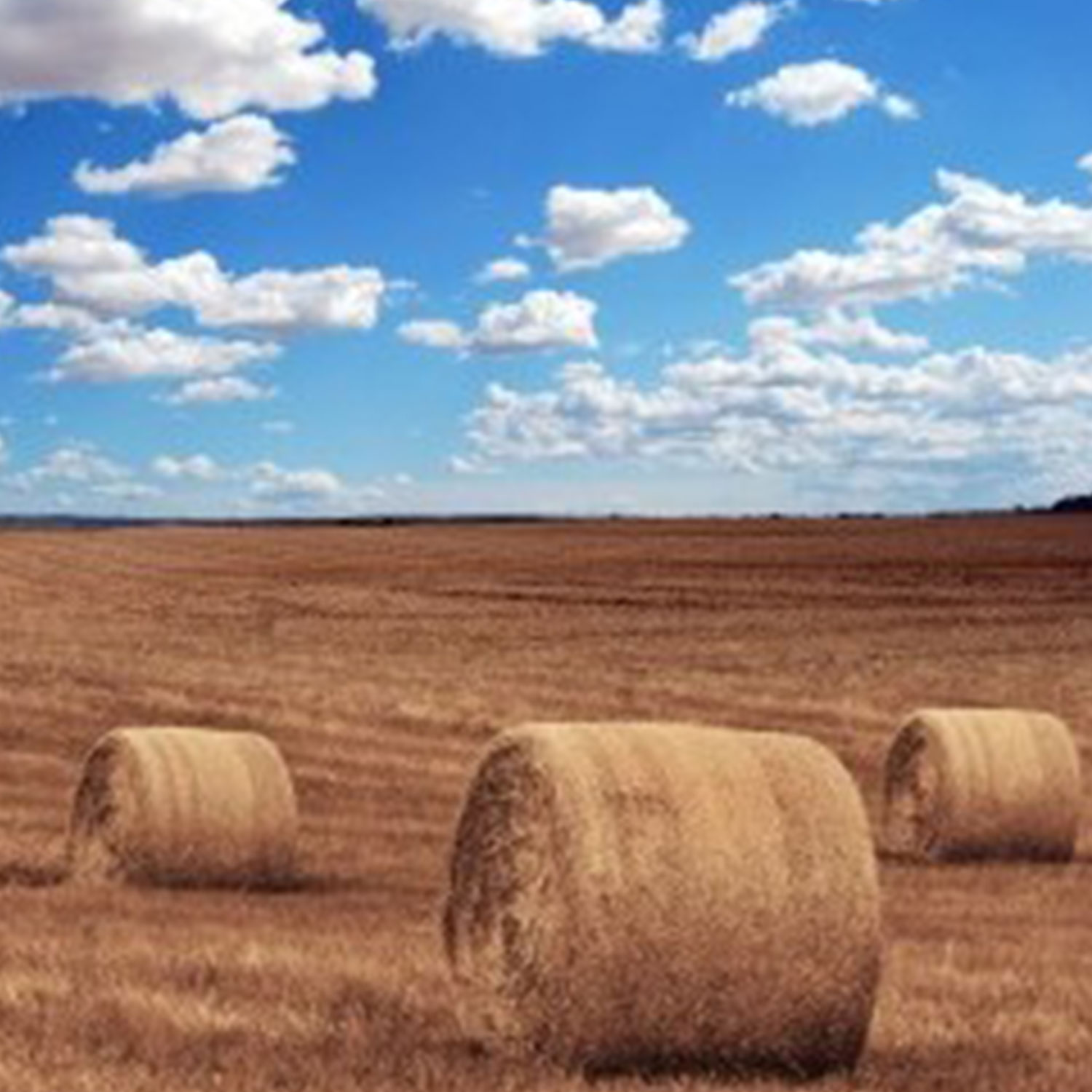 Bales image